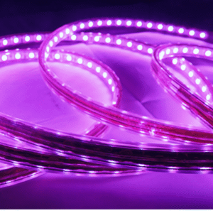 Cinta Led 220v Purpura 2835 Interior Exterior Corte Cada 1 Metro